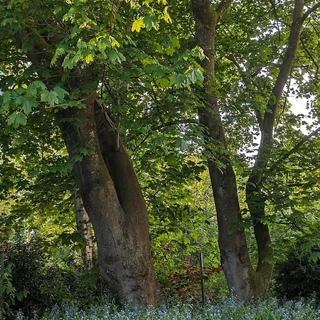 Dom wakacyjny Haus Lavard