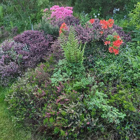 Dom wakacyjny Haus Lavard Leck